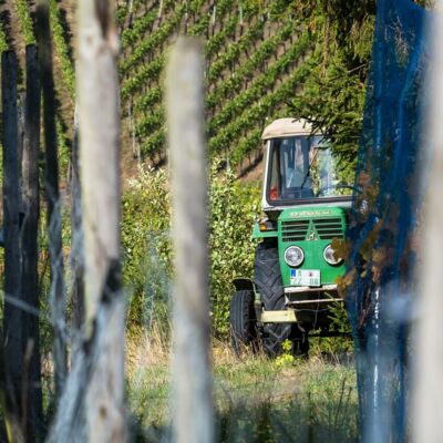 Pixabay: https://pixabay.com/fr/photos/vignoble-tracteur-viticulture-4547026/